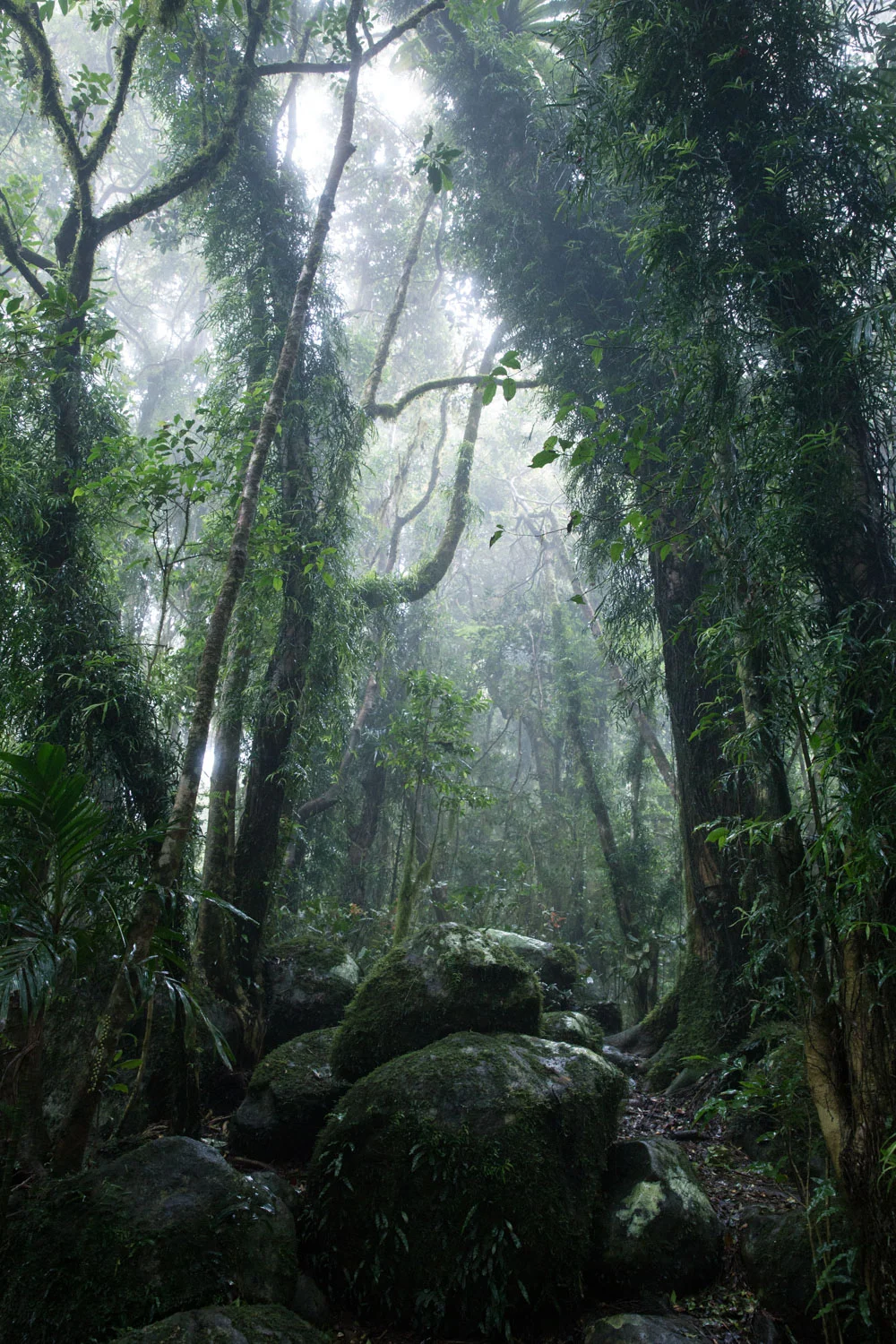 Cool and foggy, heading towards the Best of All Lookouts