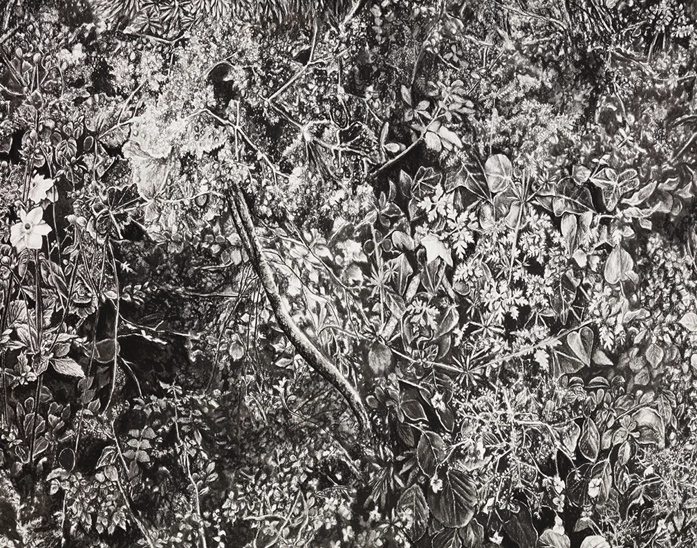 Detail of "Florilegium"