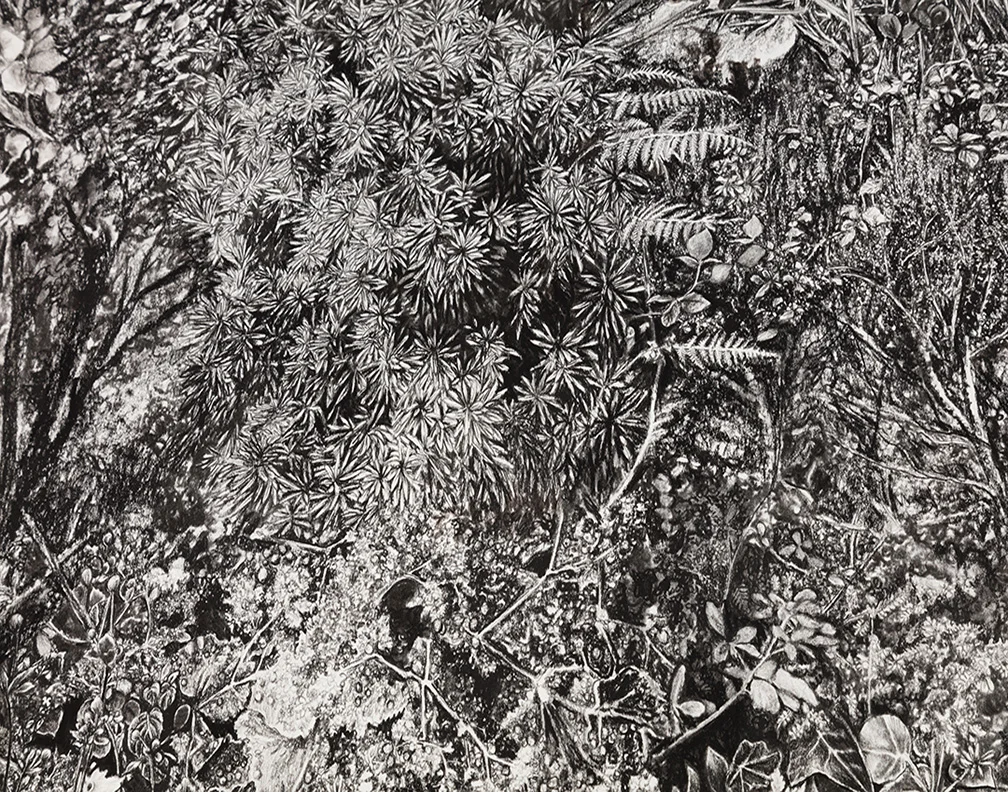 Detail of "Florilegium"