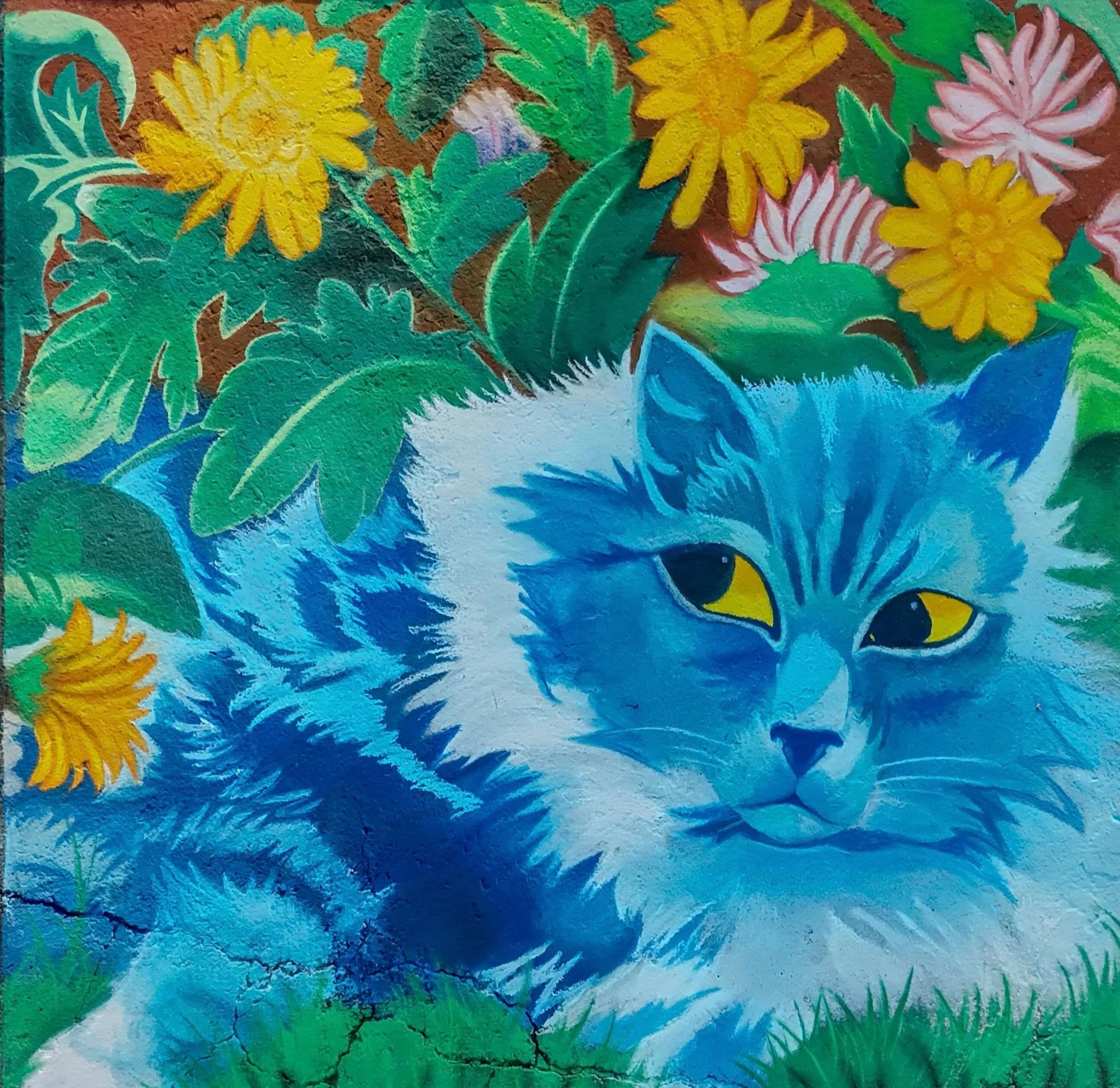 HS - Honorable Mention