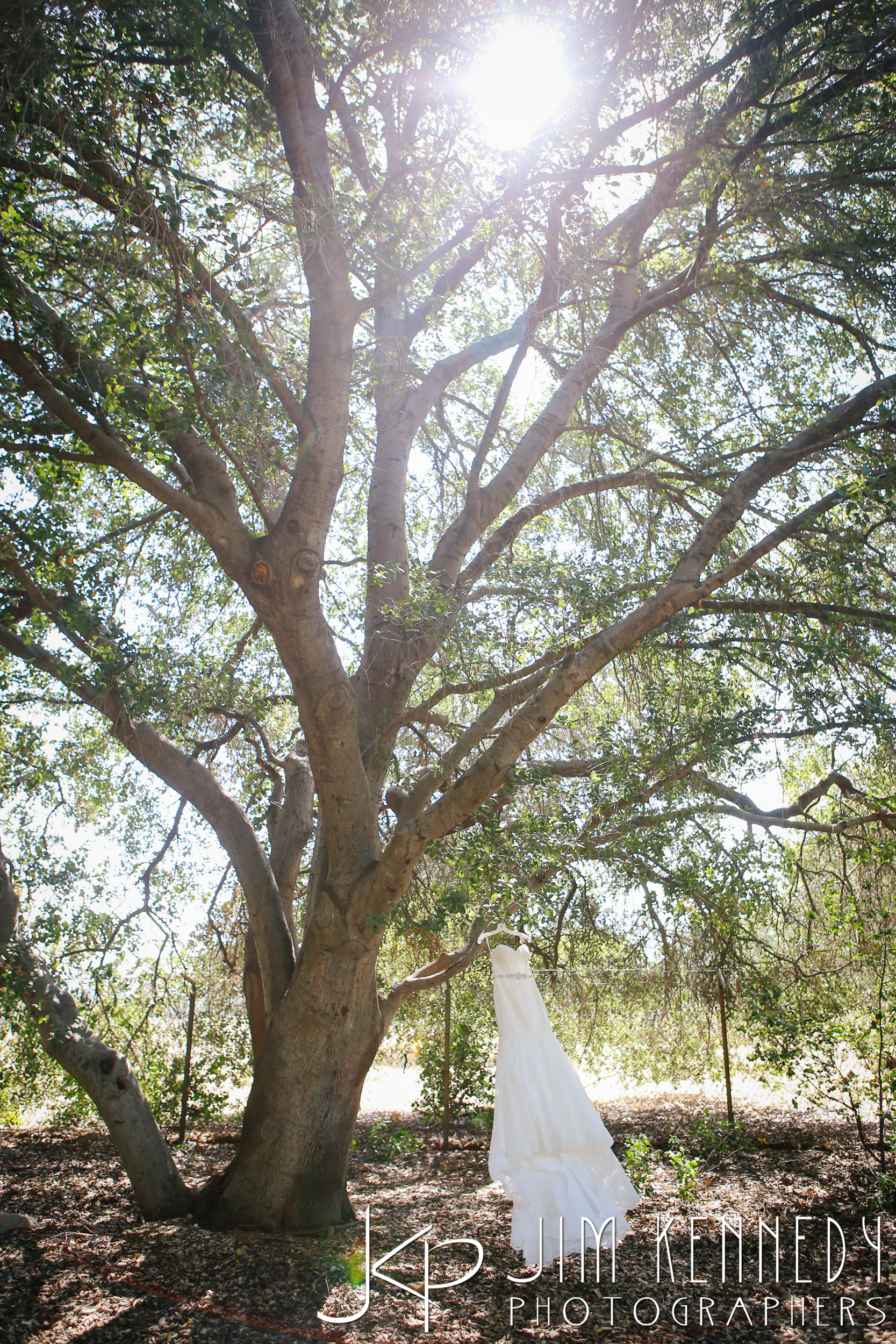 Rancho Santa Ana Botanic Garden Wedding Nicole Matt Orange