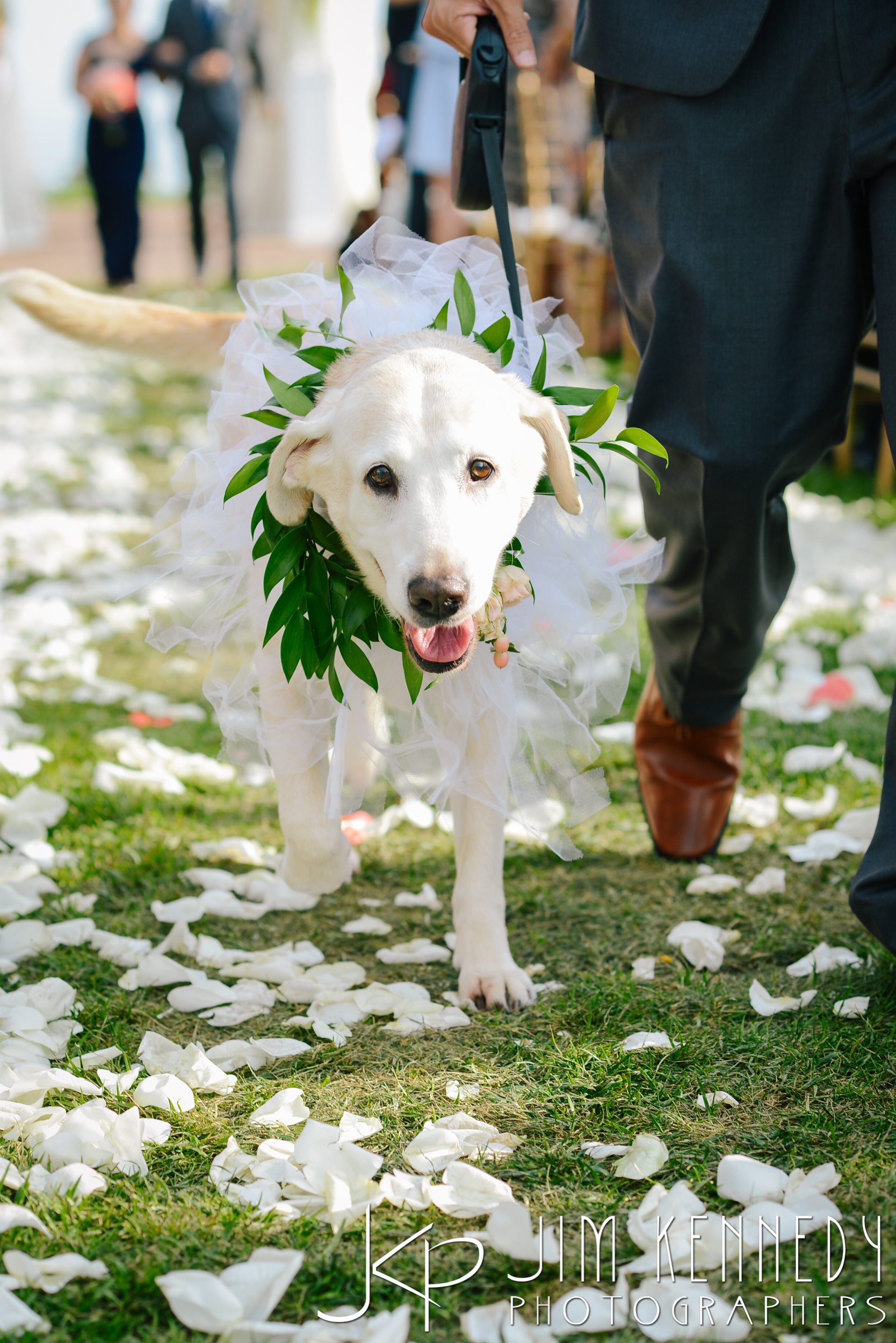 Pelican-Hill-Resort-Wedding-0116.JPG