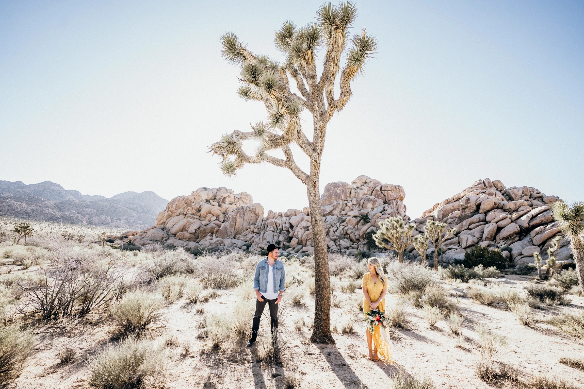 Joshua Tree Engagement  (Alana & Colin)