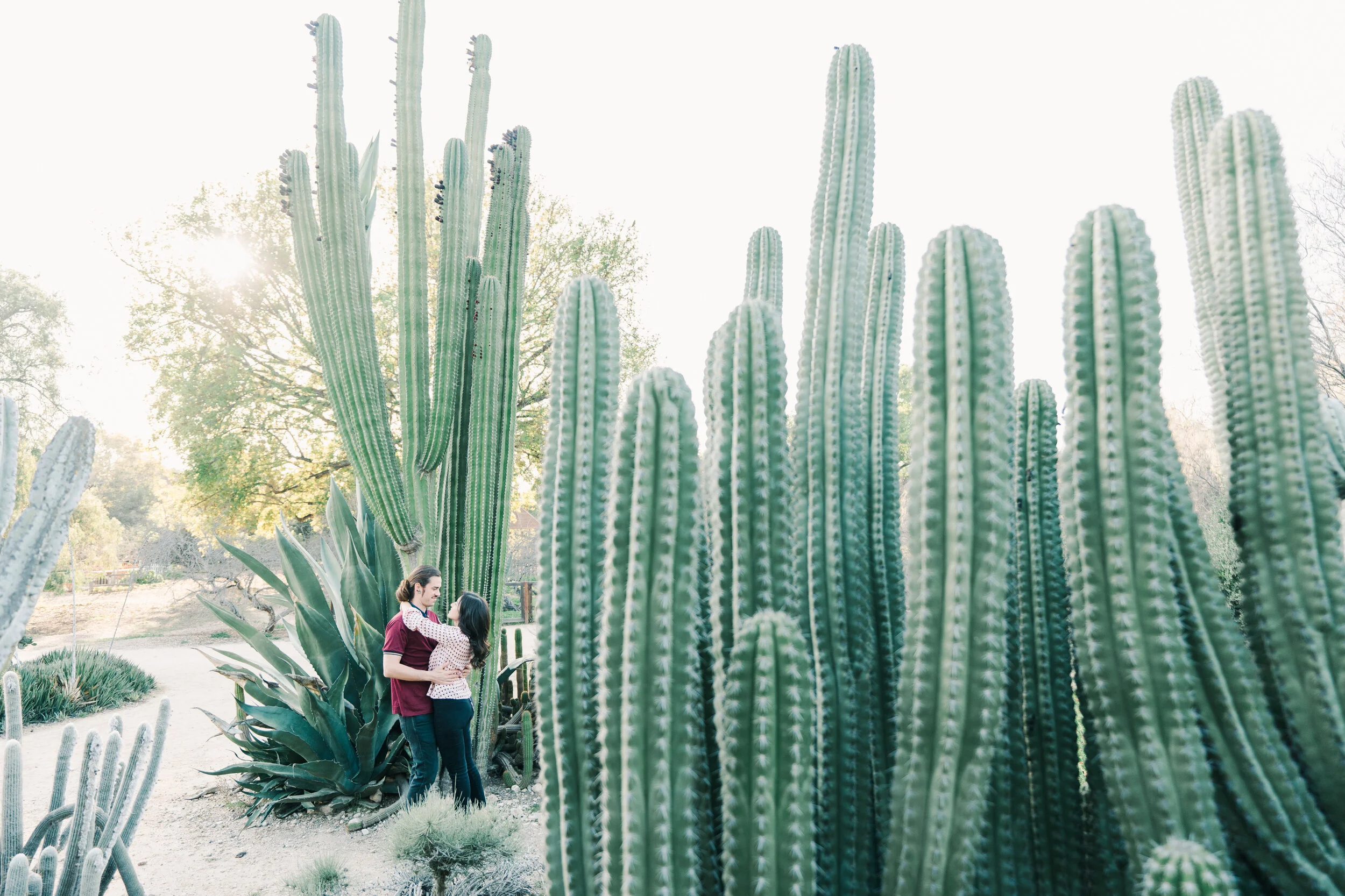 Fullerton Arboretum Engagement Session 