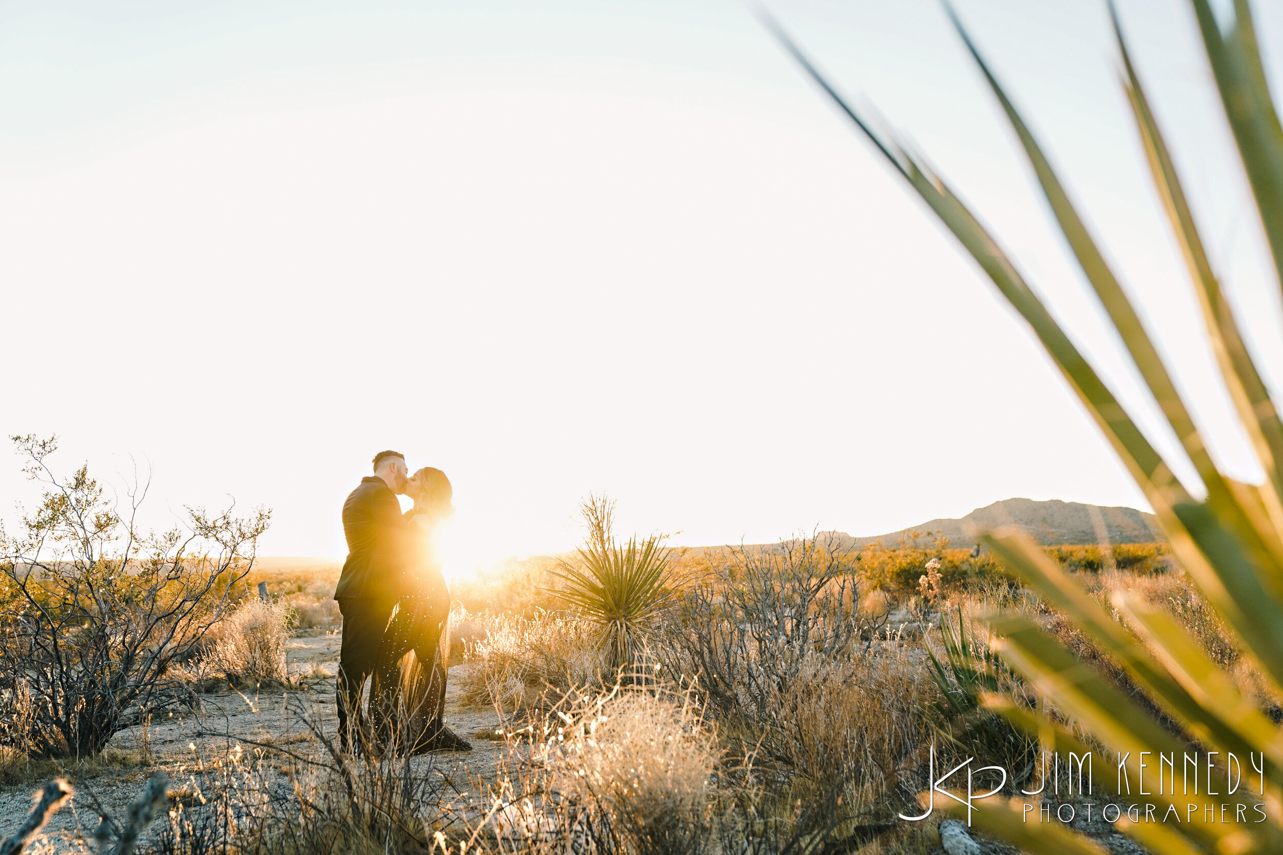 Joshua-Tree-Engagement-0095.JPG