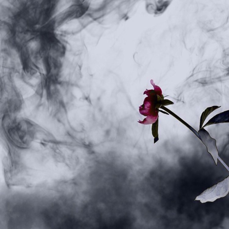 #NEWSONICRELEASE | 2HEARTS by Raven Arcane (Prod. Linus)