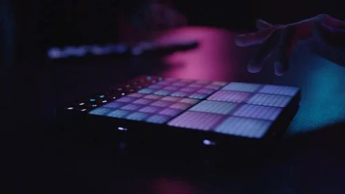 roli.jpg