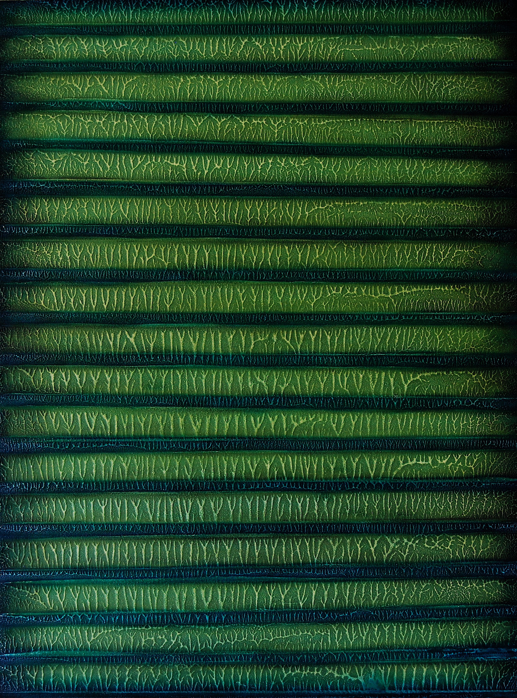 Julia King - Mysterious Writings #1, 48"h x 36"w x 1 3/4" d, oil on wood panel, raised gesso patterns