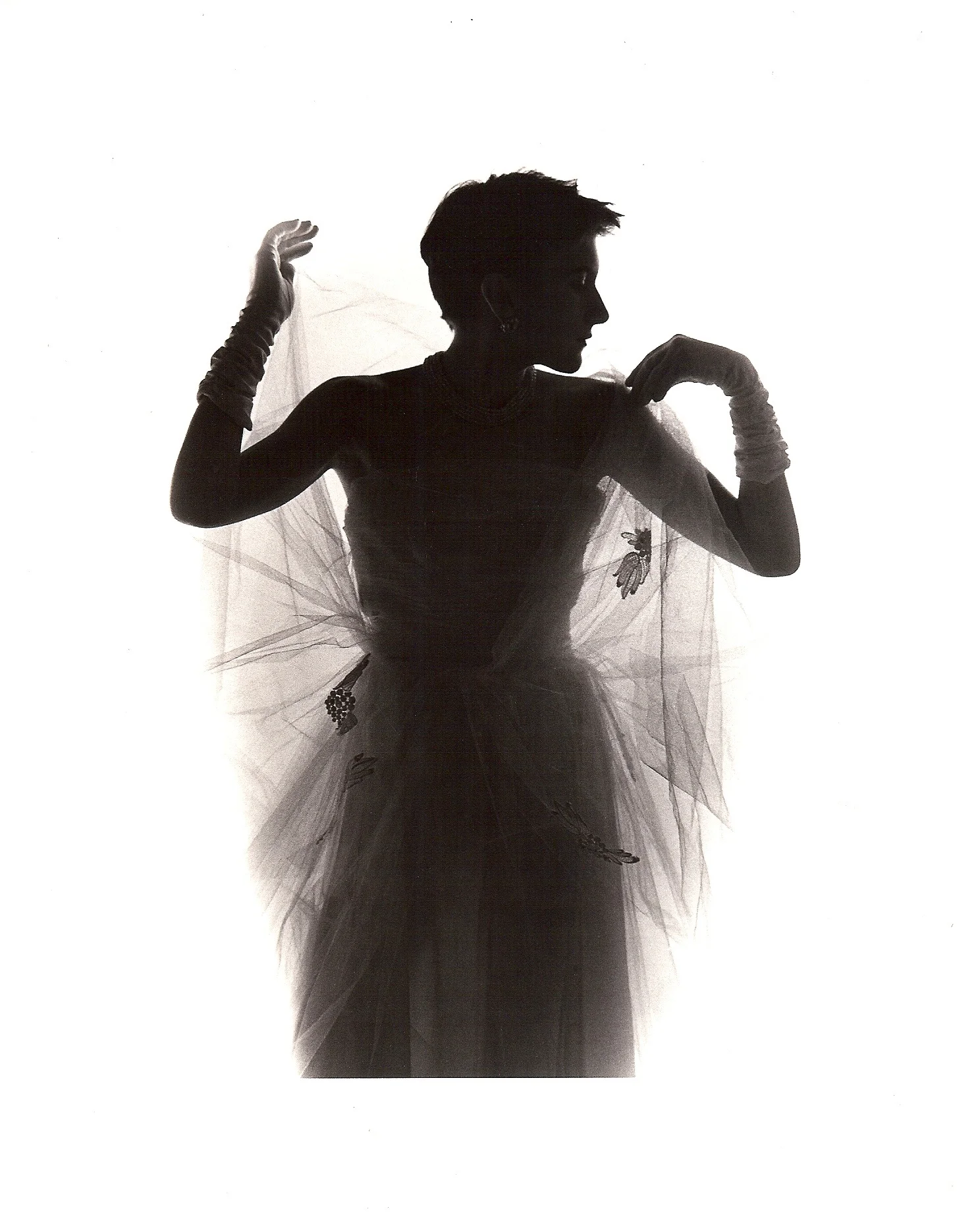 Julia King Photographs - fashion, advertising, portrait, fine art - New York City and Santa Fe, New Mexico, 1980s
