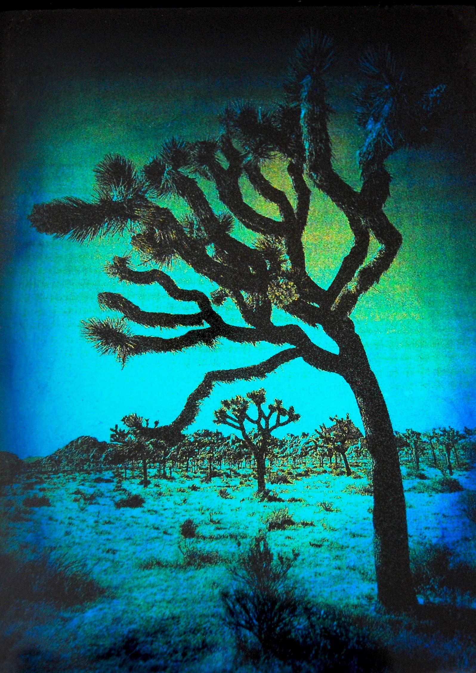 Julia King - Blue Joshua Tree (detail), 10 1/2"h x 8 3/4"w x 1 3/4"d, photography based 3-d mixed media, resin, pigment, handmade wood frame