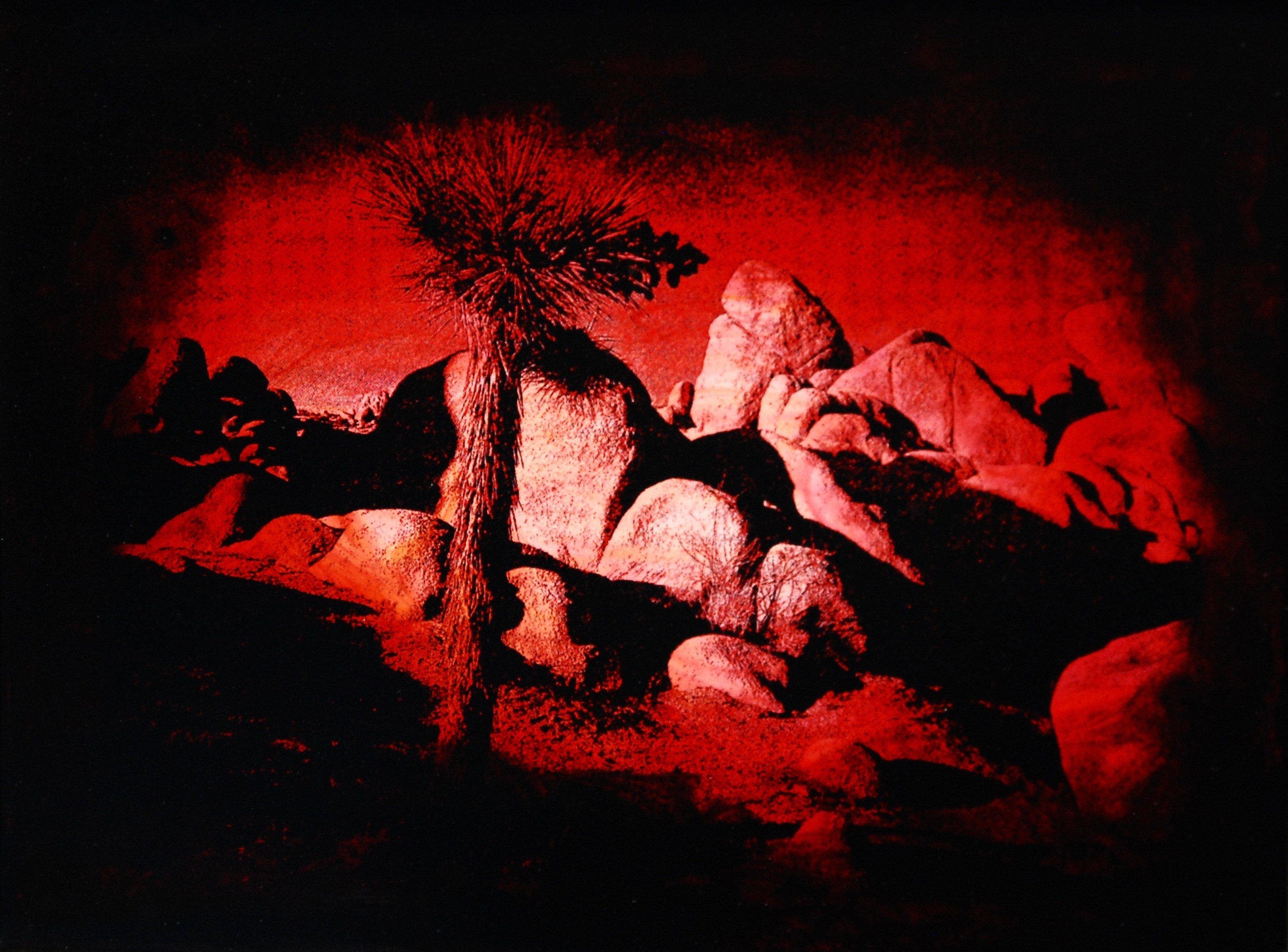 Julia King - Red Desert (detail), 11"h x 13"w x 1 3/4"d, photography based 3-d mixed media, resin, pigment, handmade wood frame