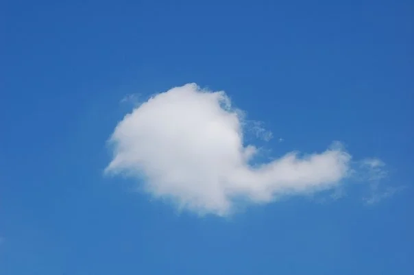 10400822_70853710290_3028_n.jpg