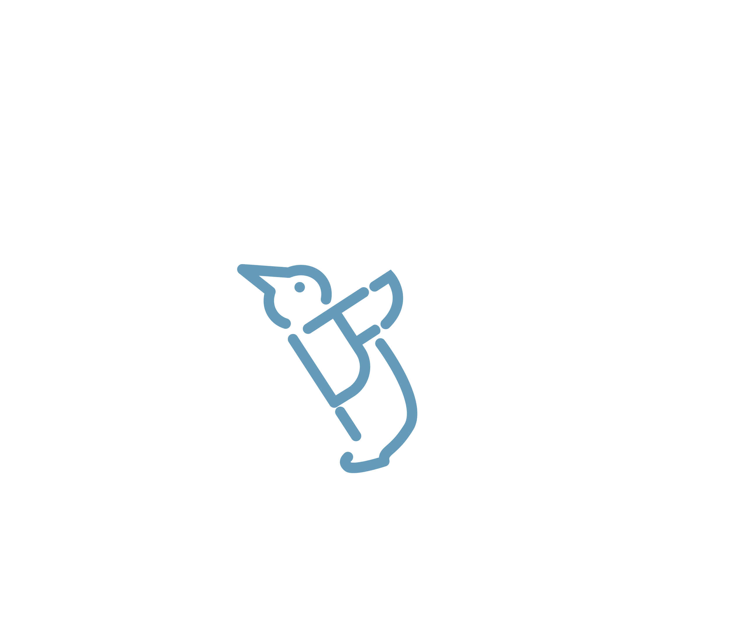 FentonAnimals-06.png
