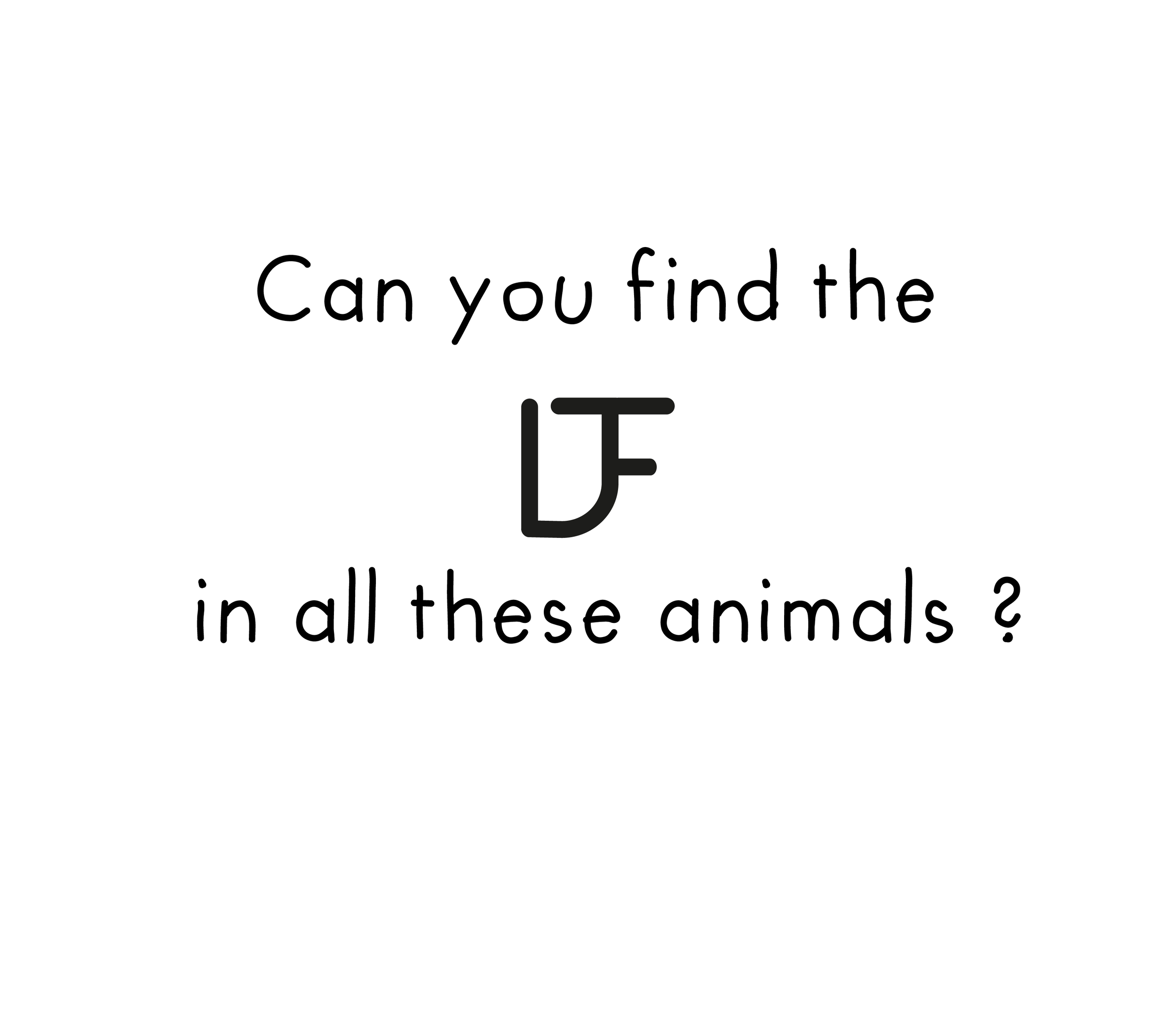 FentonAnimals2-02.png