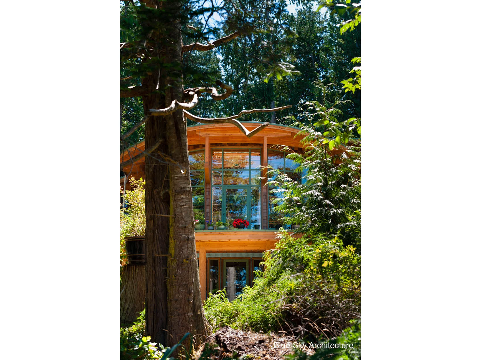 Exterior view of forest architecture at the Brigantine House