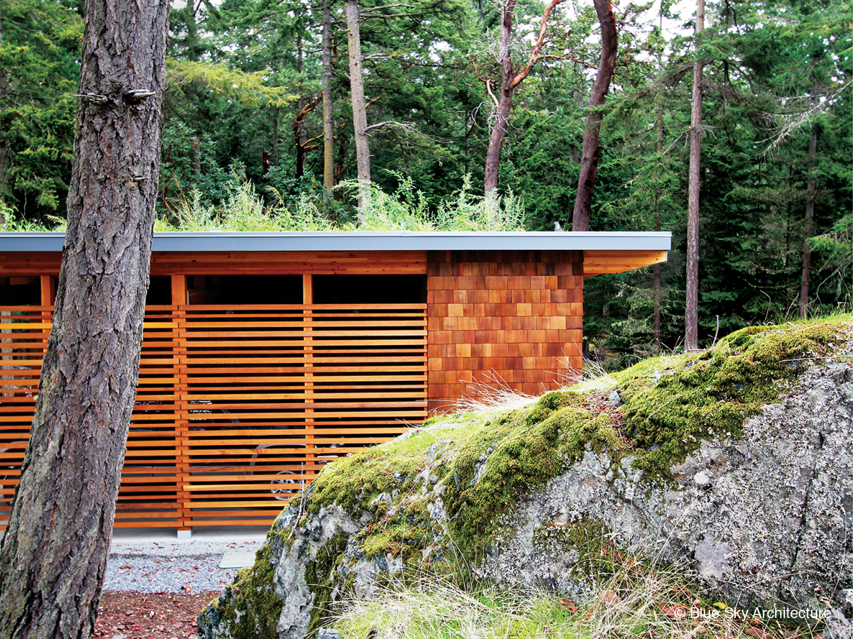 Wood detailing on the off-grid Solar Crest guest house