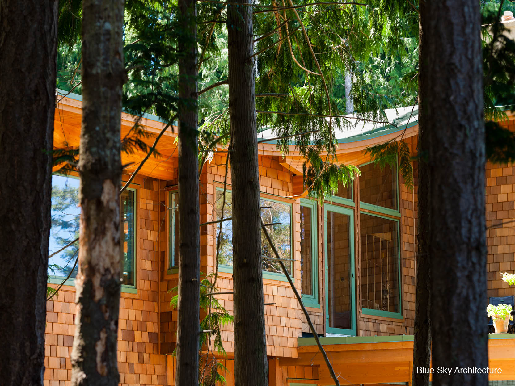 Natural materials in the forest architecture of Brigantine House