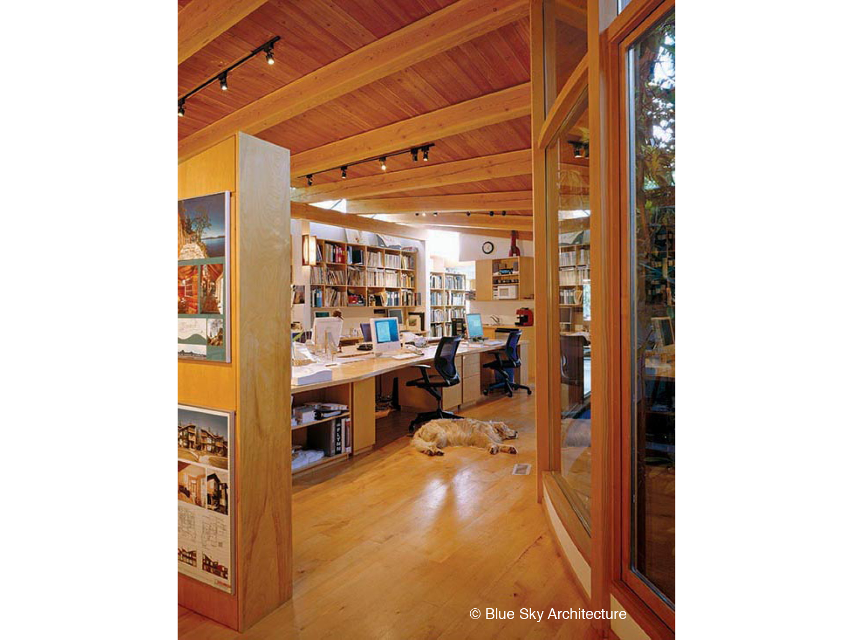Studio with Natural Materials and Harry
