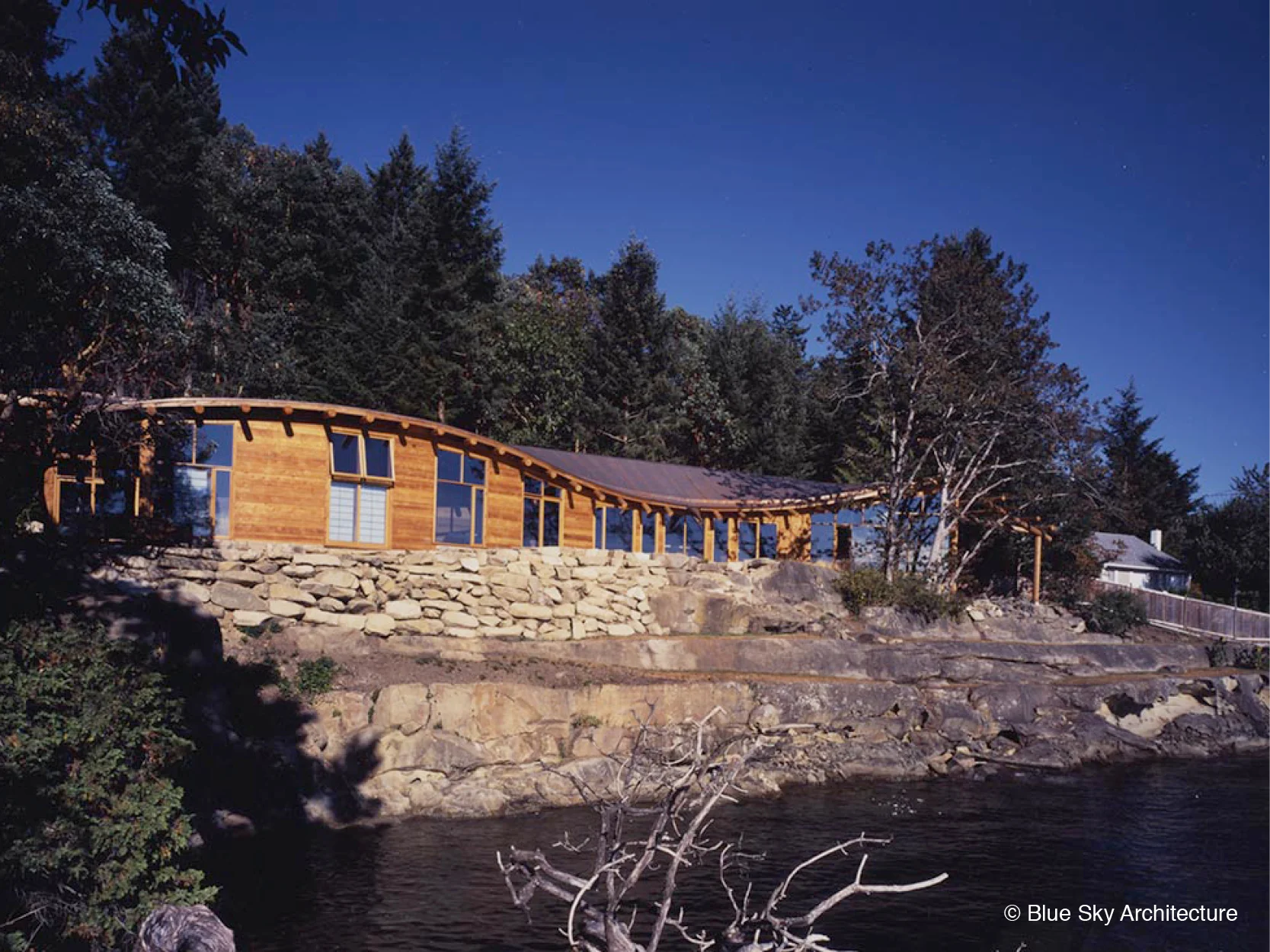 Organic Modern Roofline