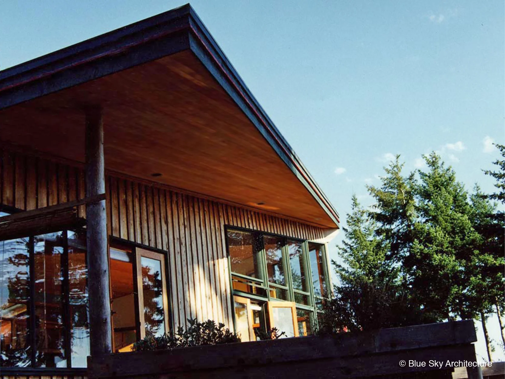 Angled Roof Overhang with Natural Log Column
