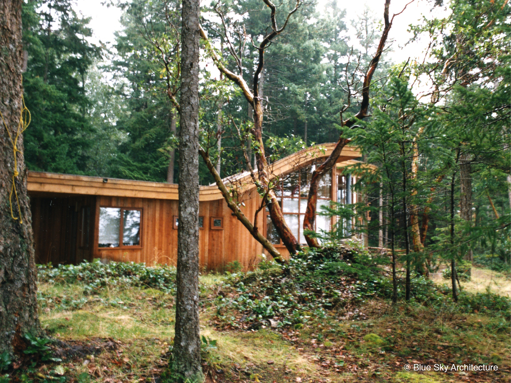 Exterior Forest View of Heavy Timber Residence