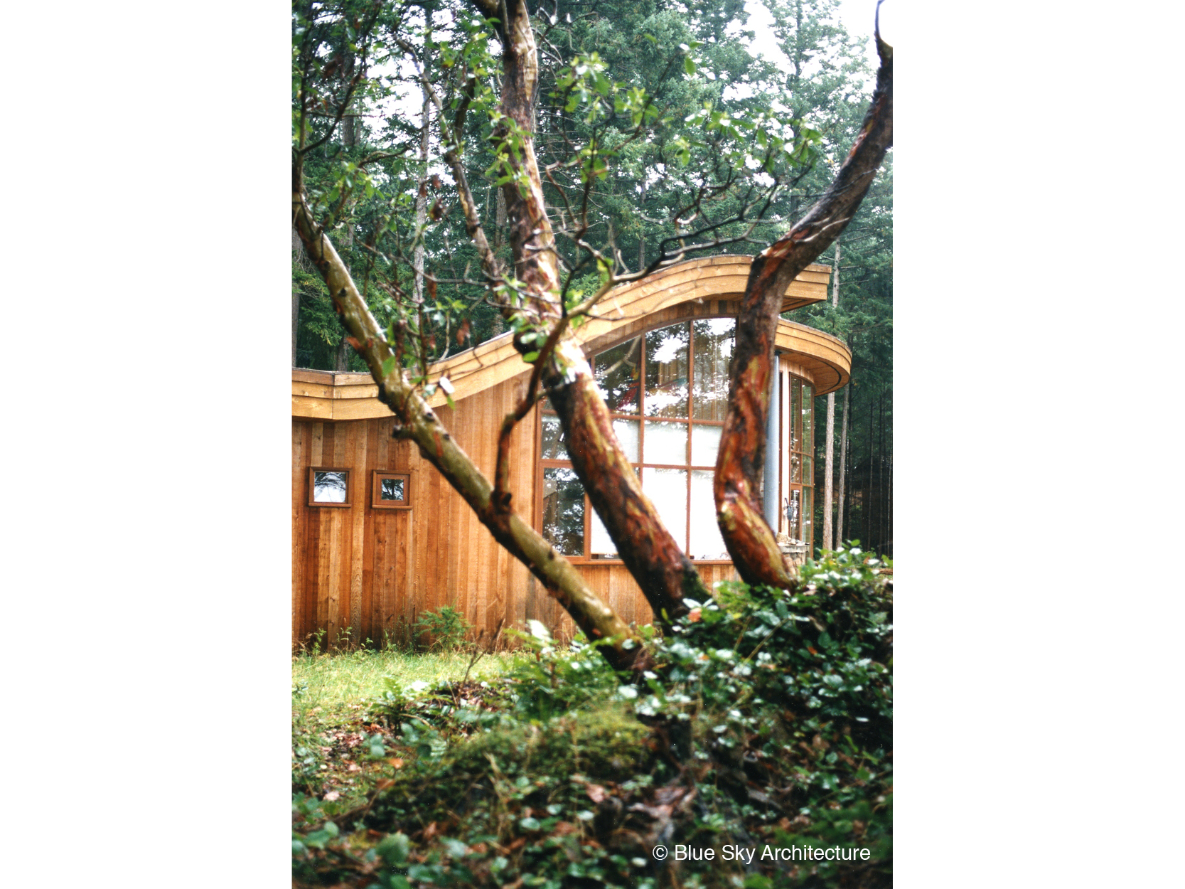 Exterior View of Custom Home with Organic Roofline