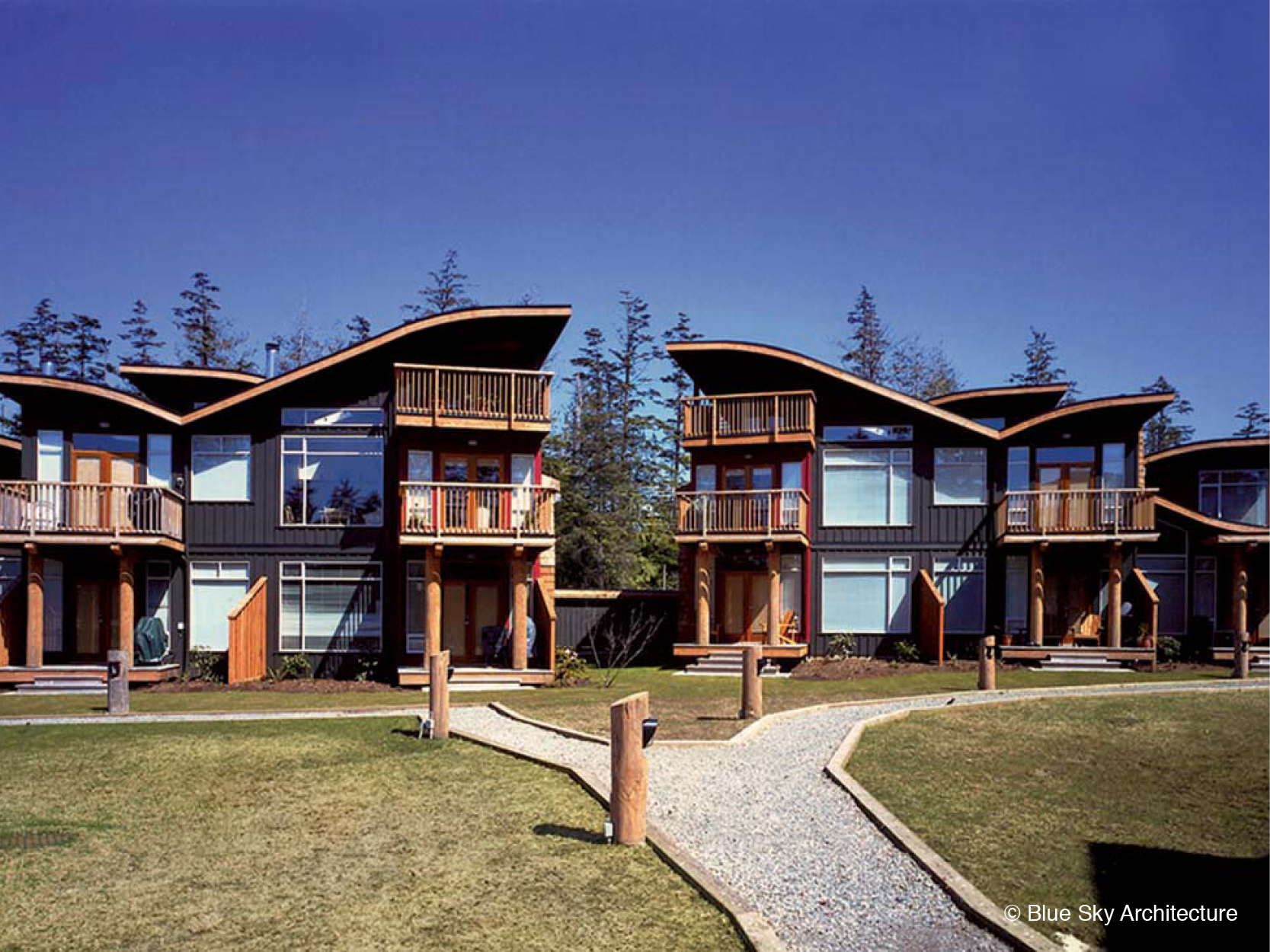 Beach Home with Organic Roofline