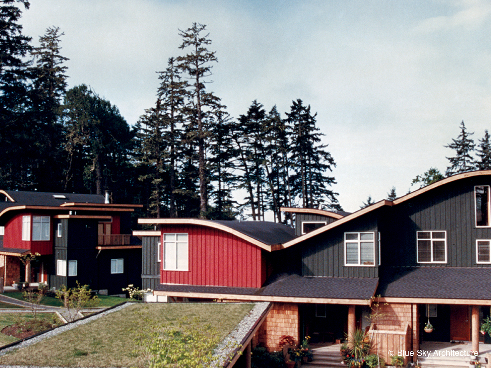 Beach Home with View of Green Roof