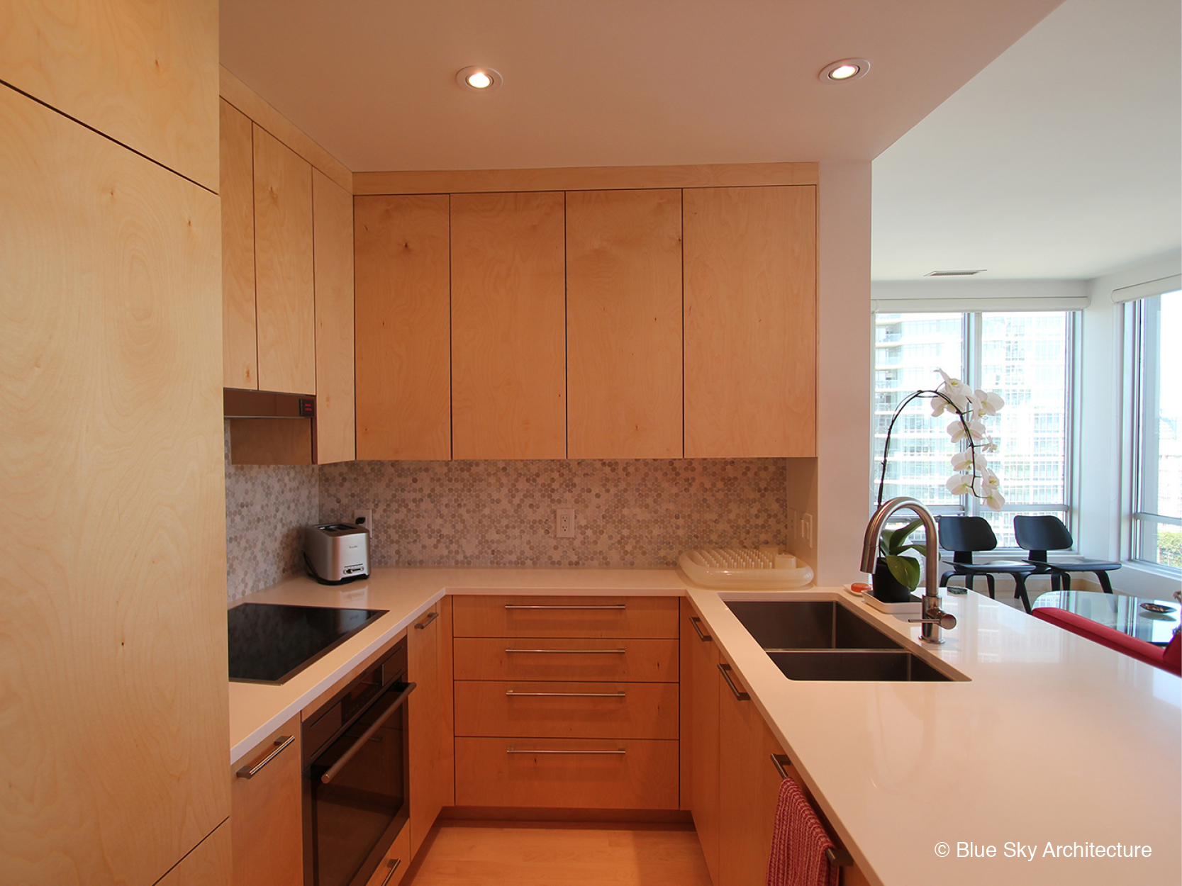 Birch plywood cabinet kitchen in Vancouver condo