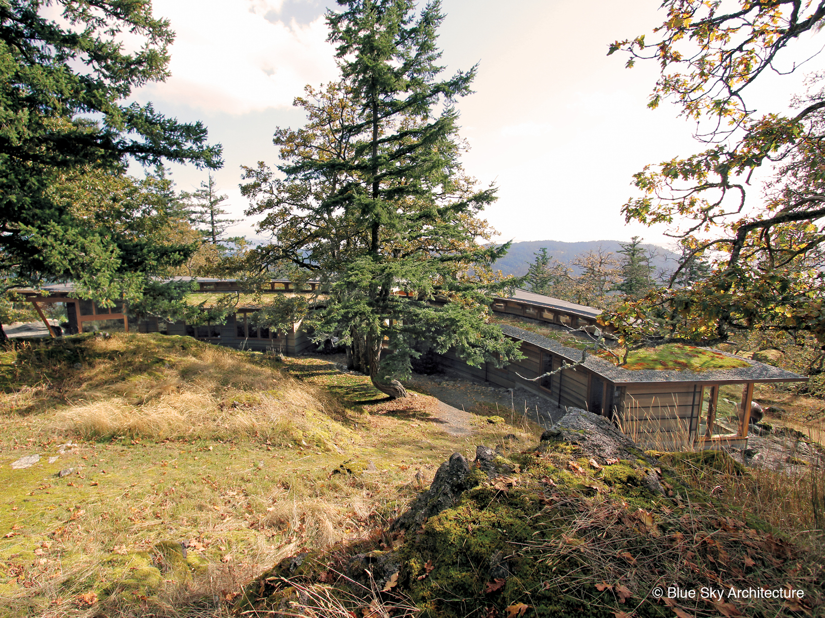 Oak Grove House blending with hillside