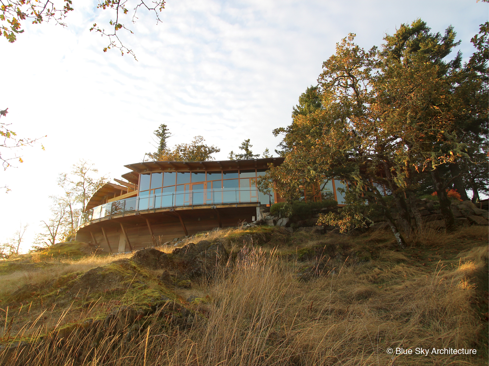 West Coast Modern house built on hillside with heavy timber