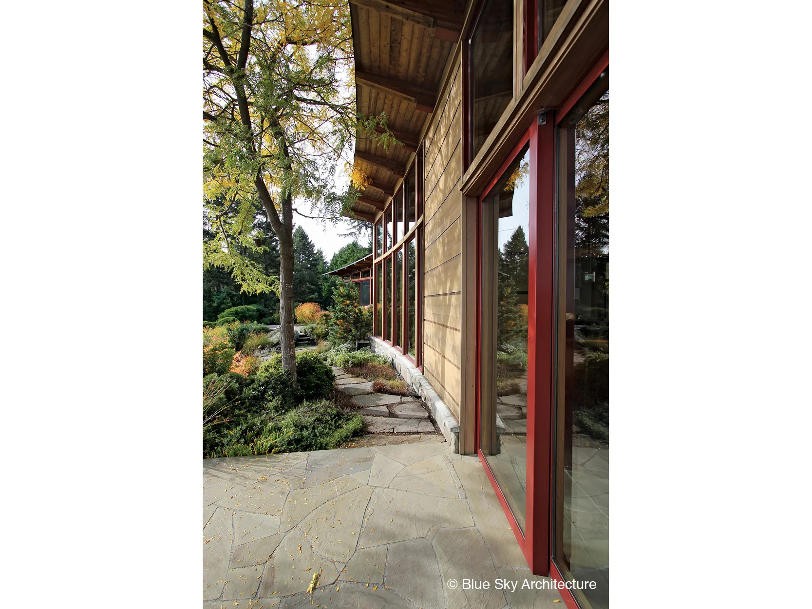 Wood exterior panelling on West Coast modern home