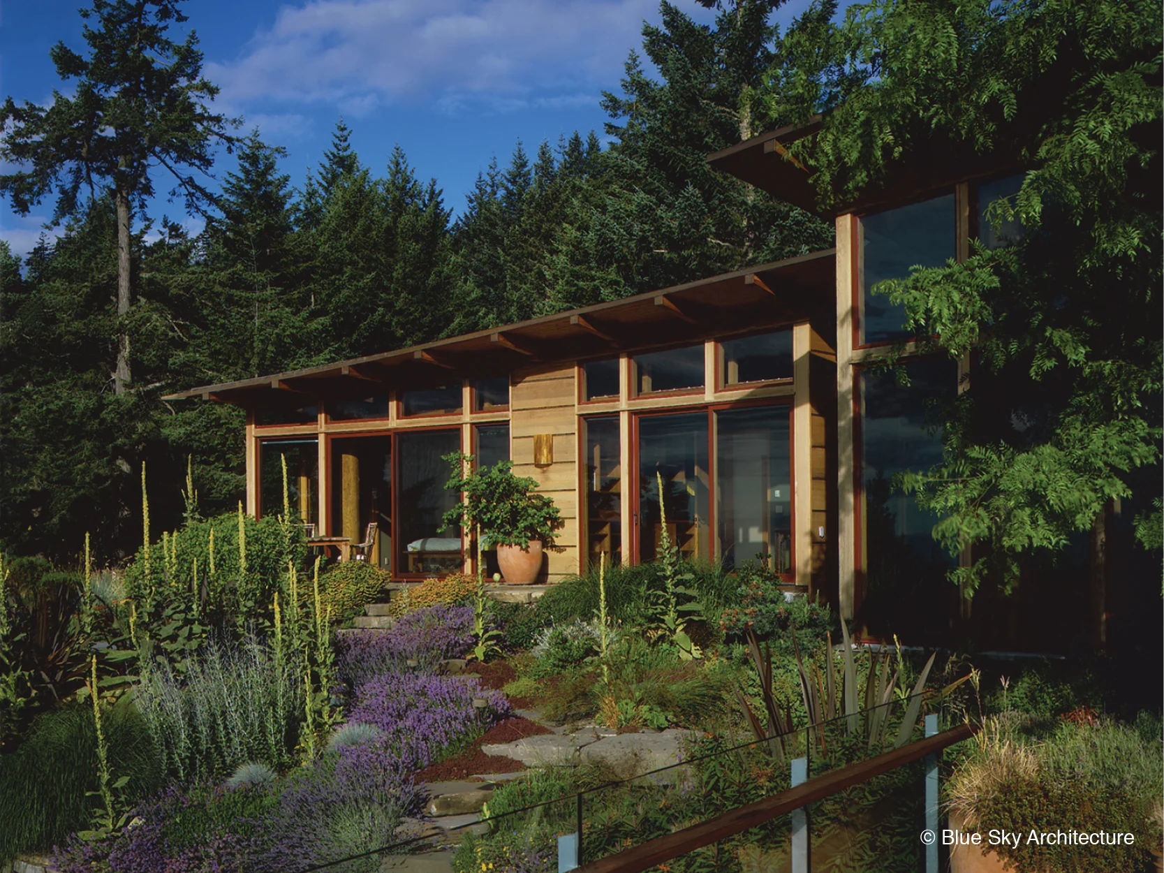 Hill House's landscaped gardens in front of heavy timber framed windows