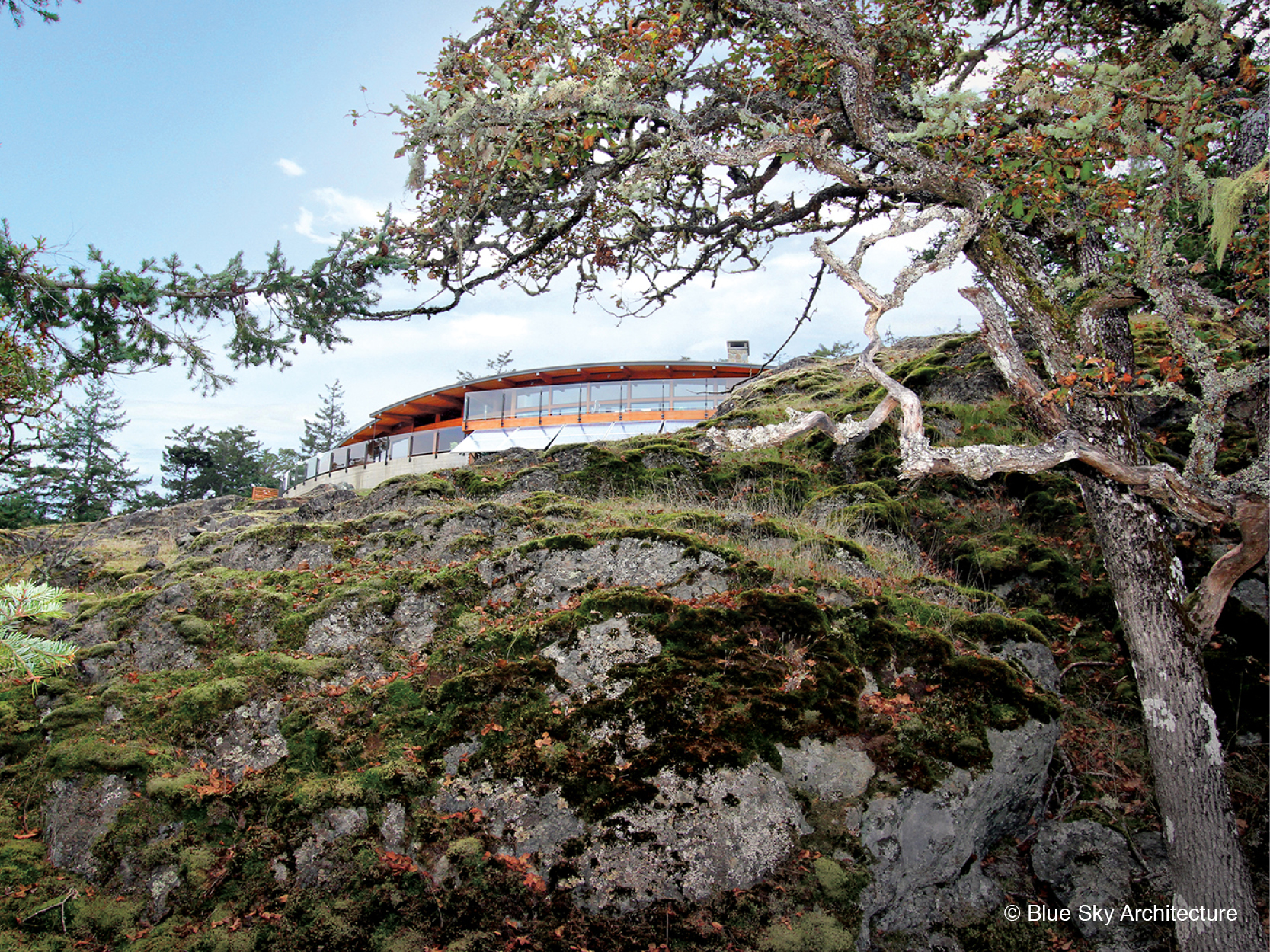 Lower cliff view of off-grid architecture Booklovers House