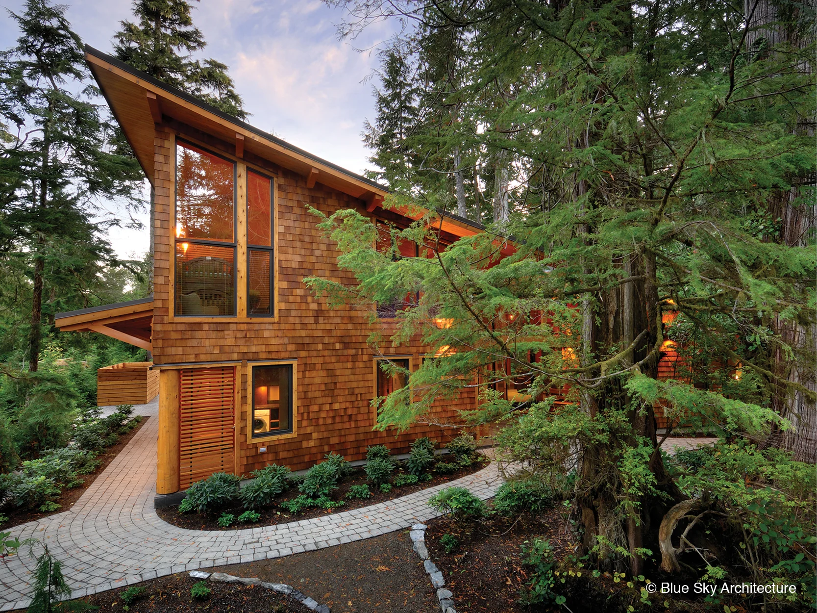Forest setting residential design of Rainforest House