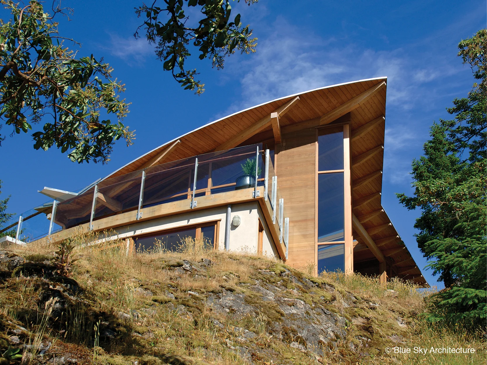 Organic residential design of Ridge House