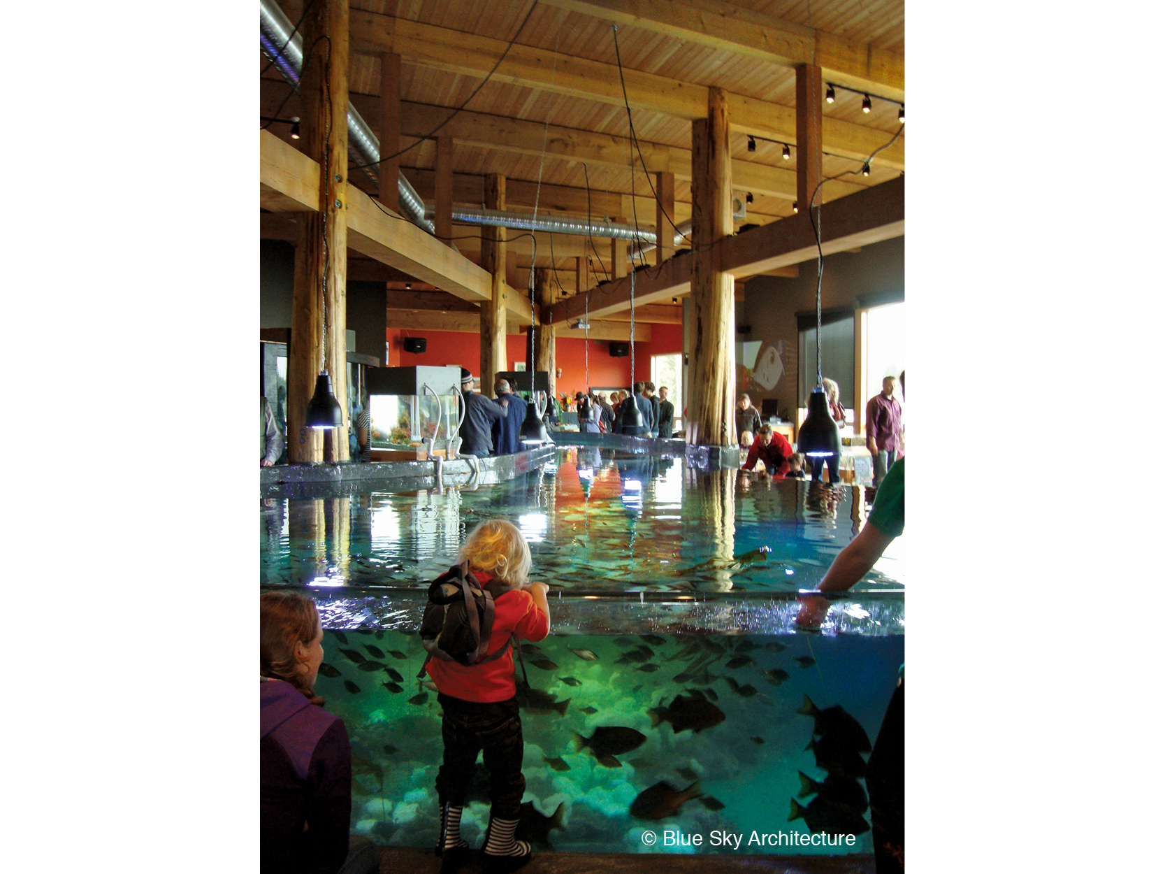 Close up view of the tidal pool at the Ucluelet Aquarium