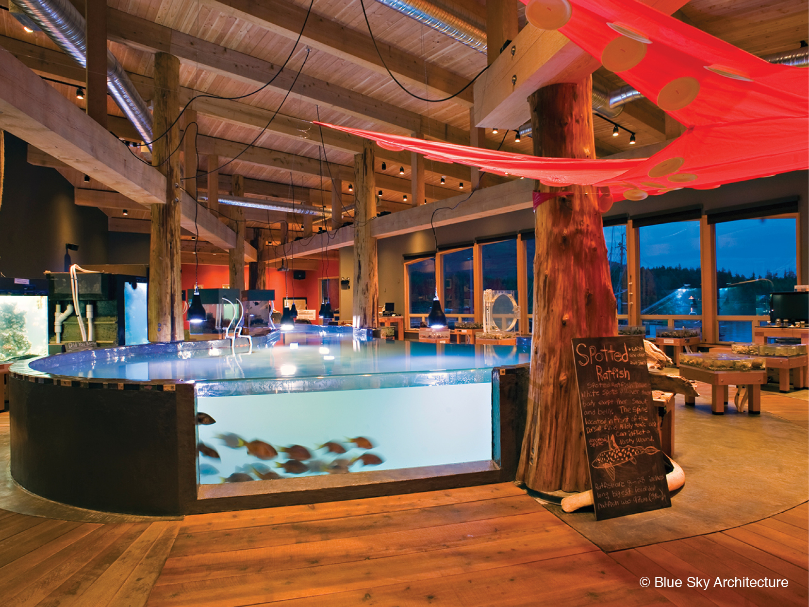 Natural log posts and heavy timber framing in Ucluelet Aquarium