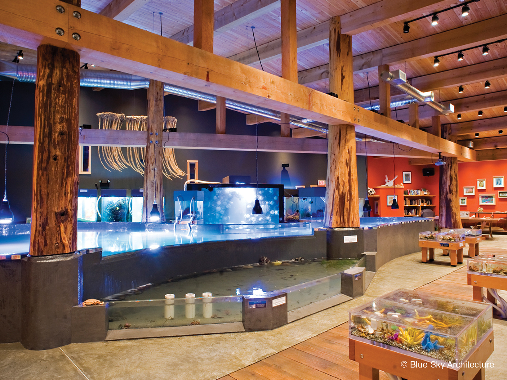 Ucluelet Aquarium tidal pool and touch tanks