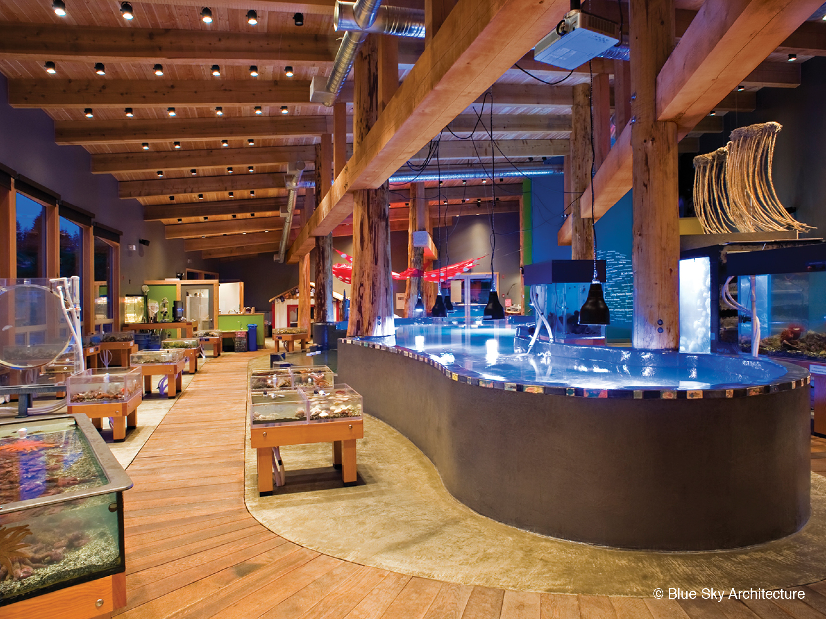 Ucluelet Aquarium's wood rafter ceiling