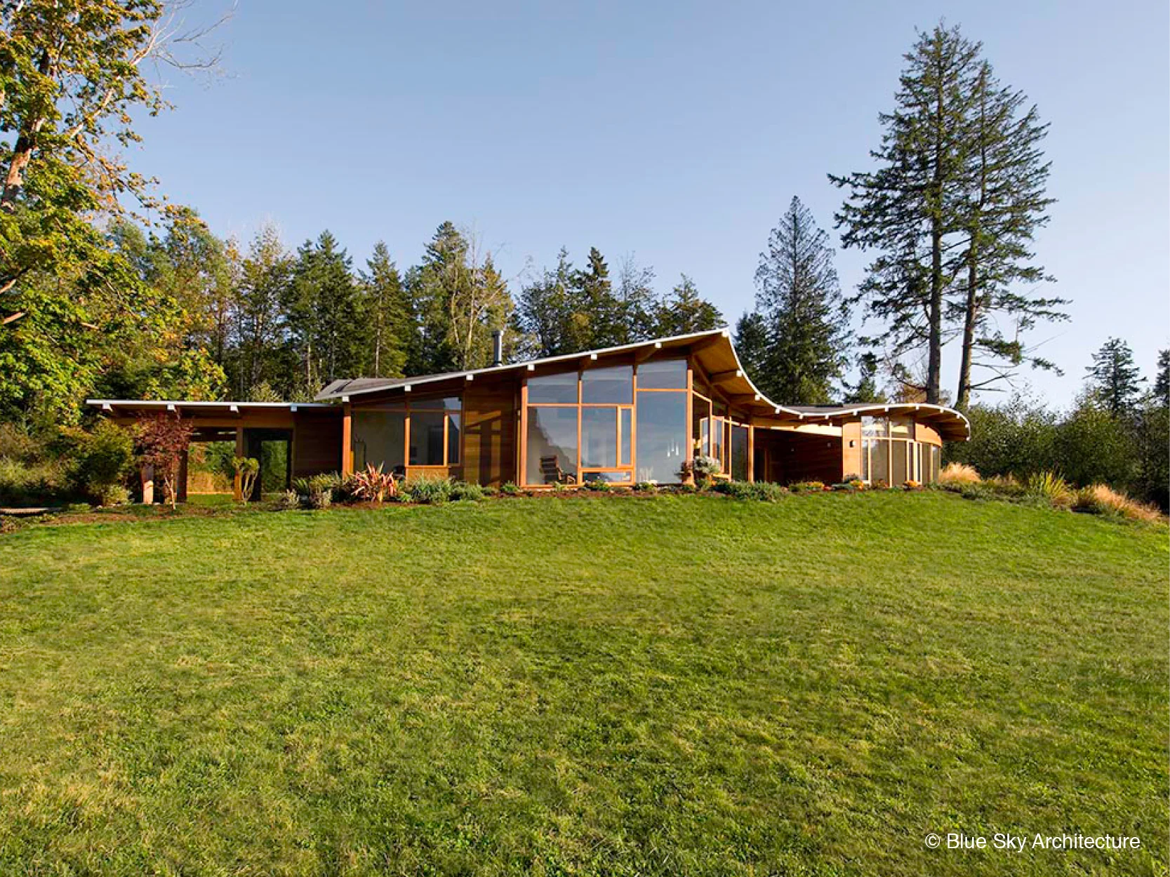 Modern organic windows front with view