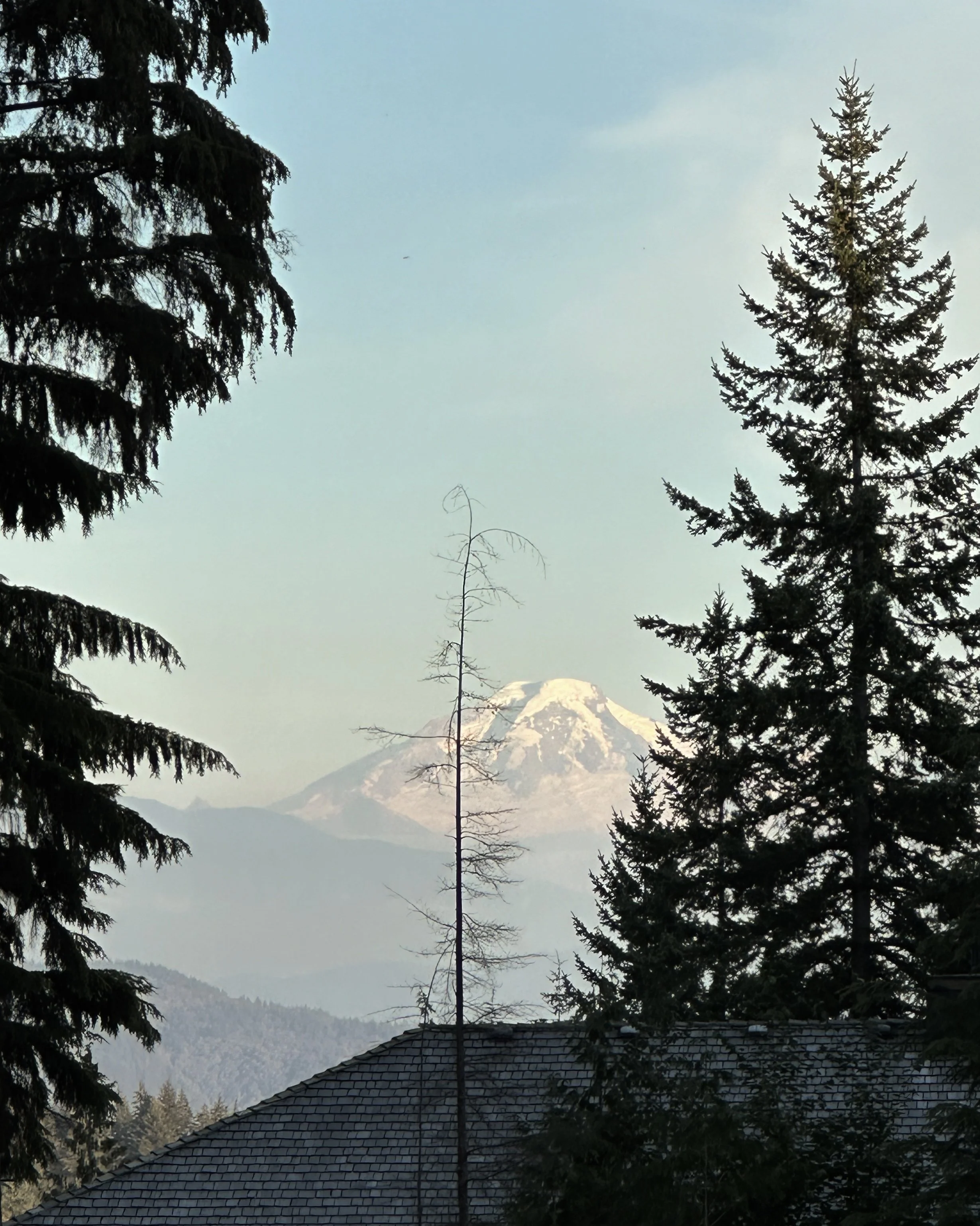 mt baker.jpg