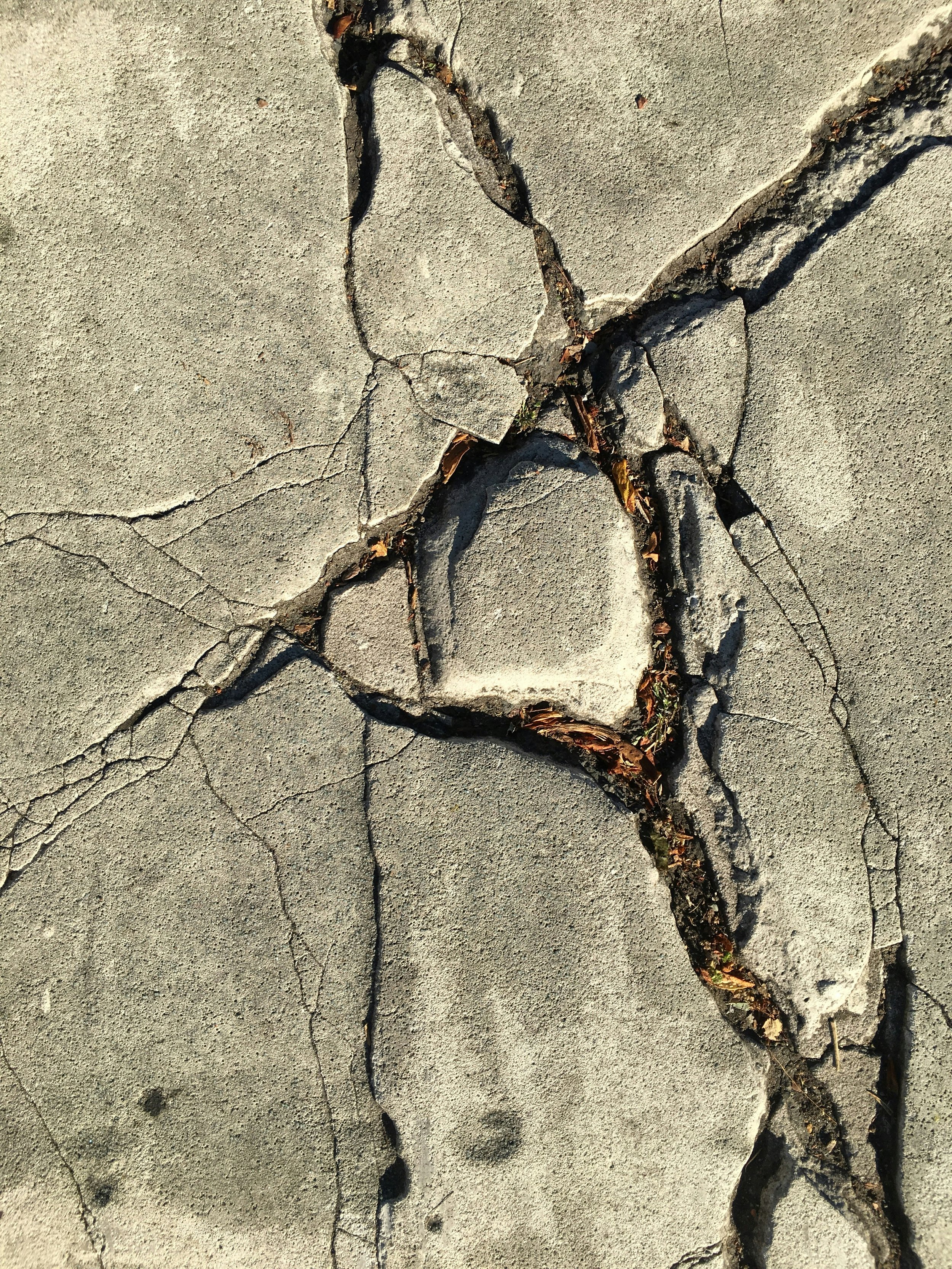 The Cracks In Our Secular Culture—and the Hope Rising