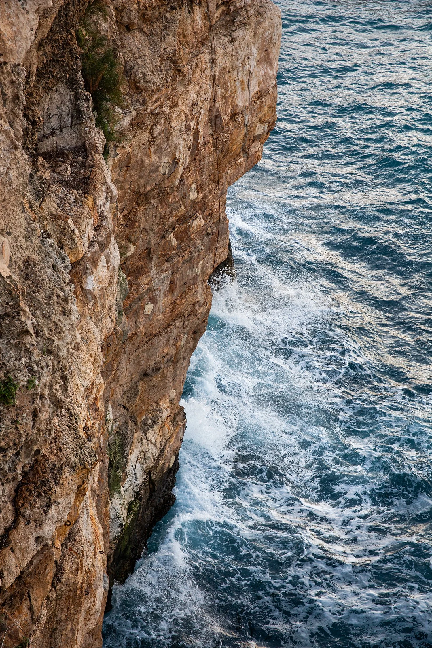 small 1V2A8603 copy.jpg