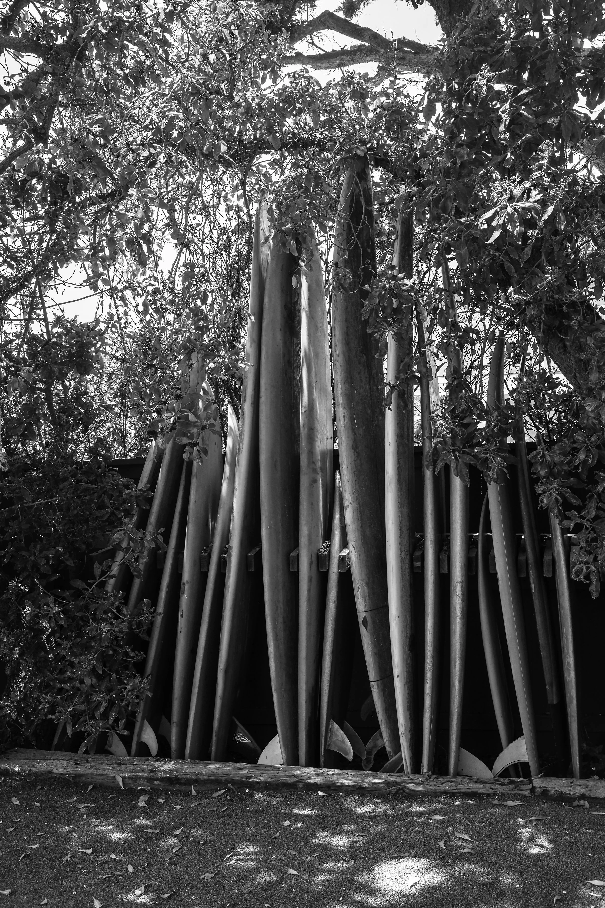 small 0i7a7358 2 copy.jpg