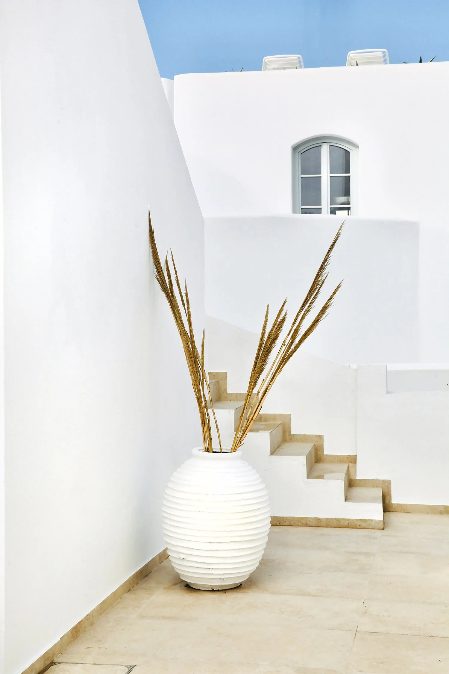 small 1V2A4675 2 copyy 2 copy.jpg