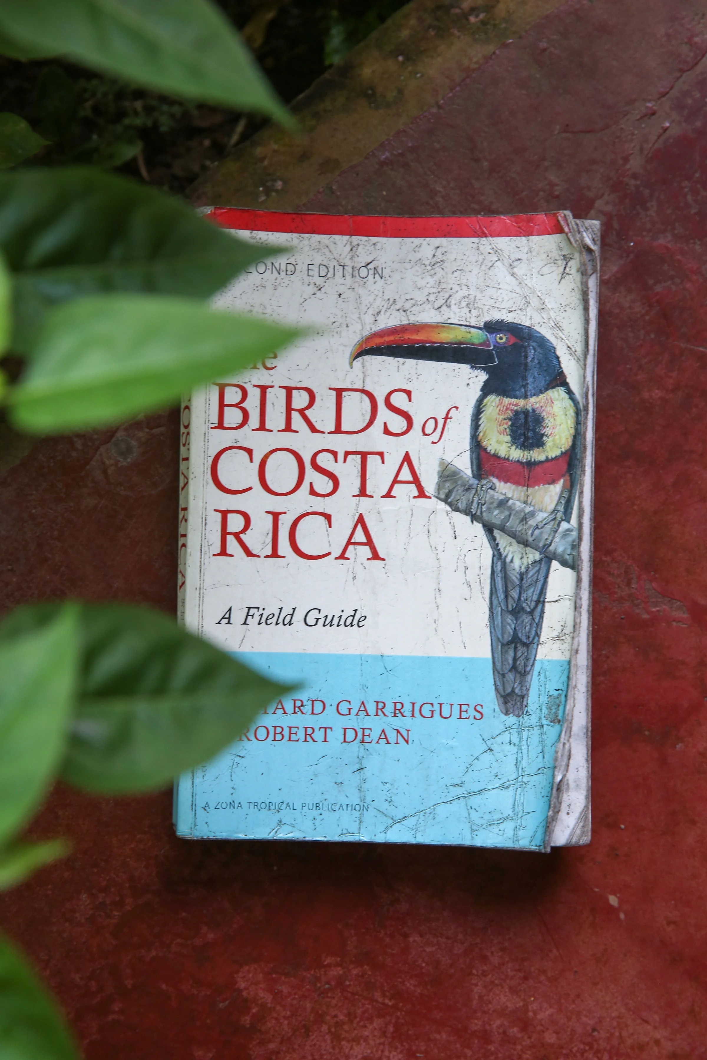 small 1V2A1831 copy.jpg