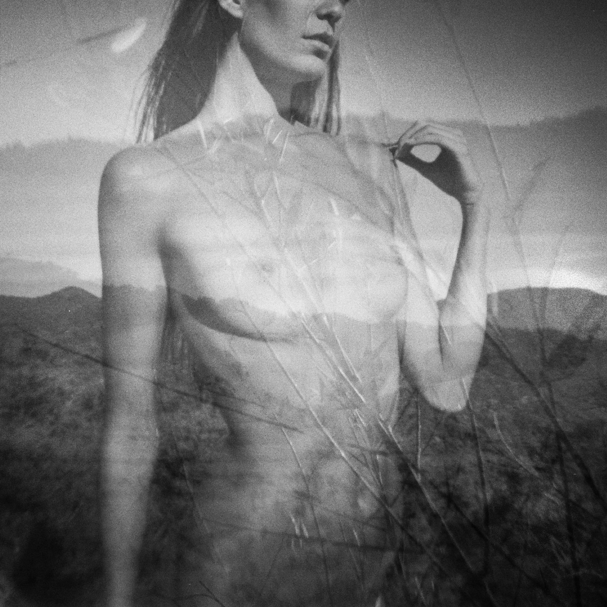 small NFT2 2 copy.jpg