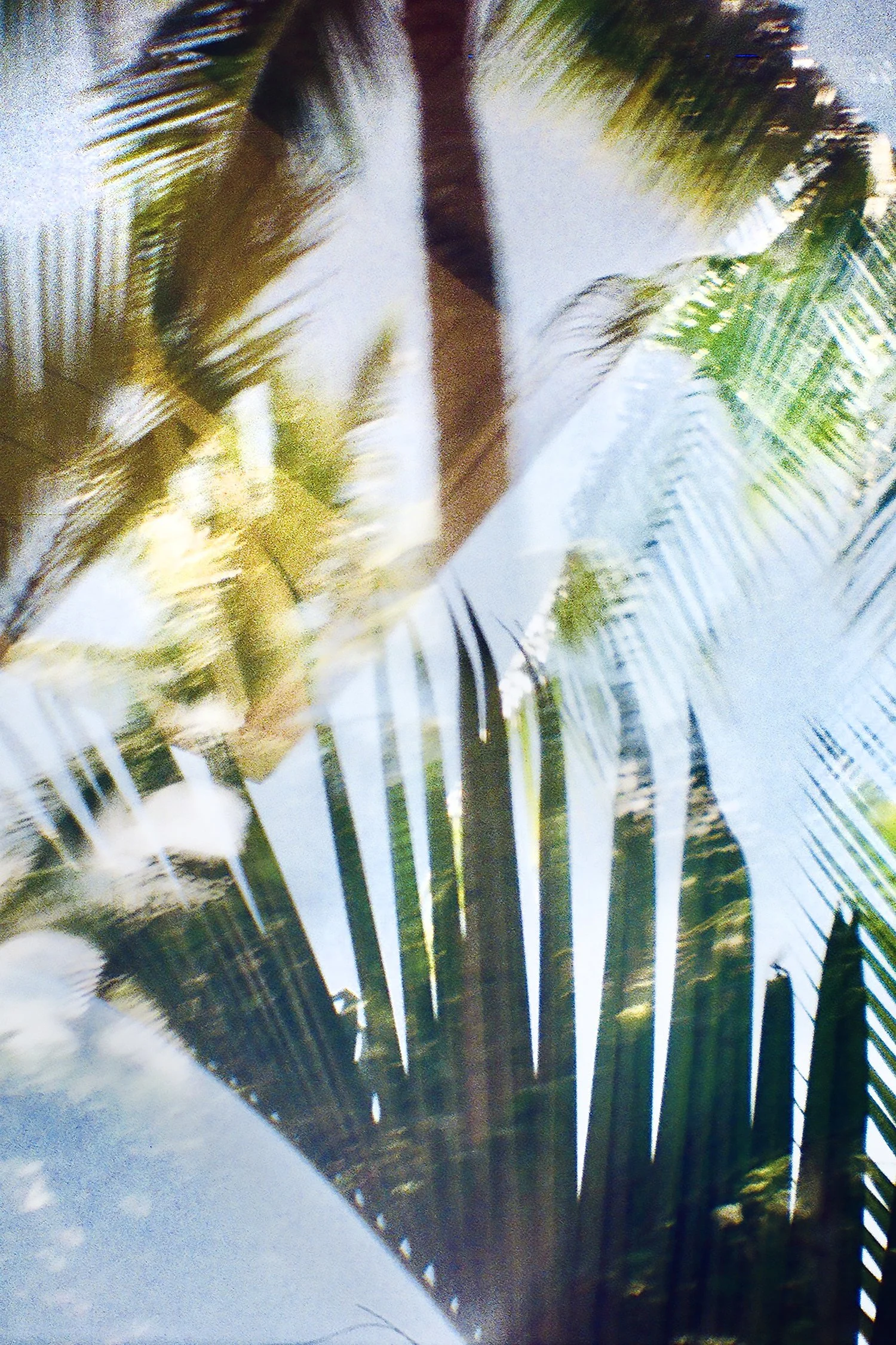 small 000001670022 2 2 copy.jpg