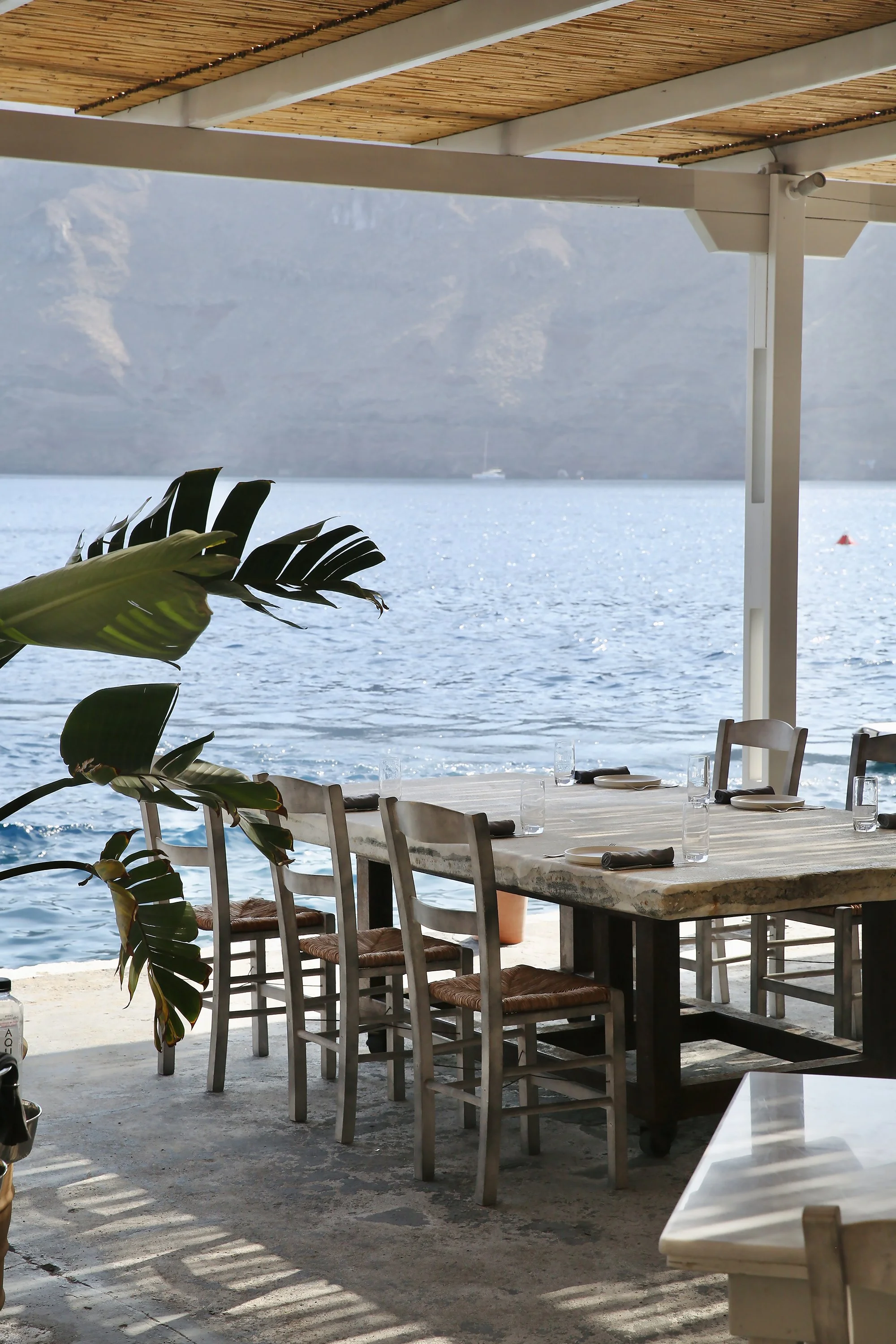 small 1V2A5230 copy.jpg